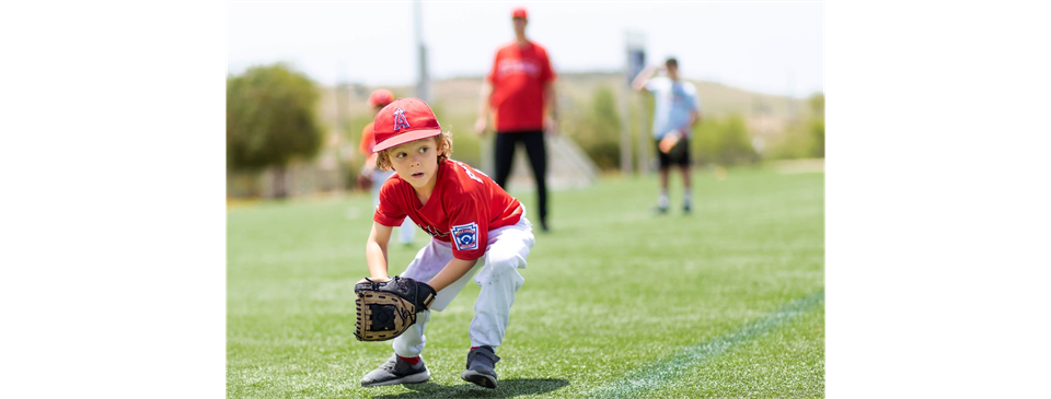 2025 Assessment Schedule - Ages 8-15